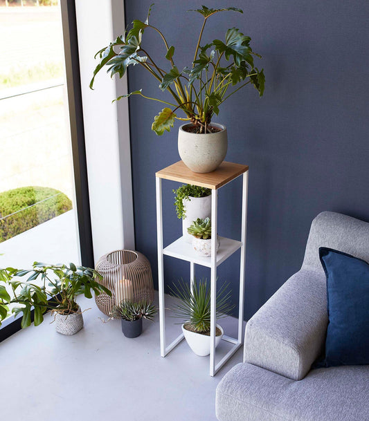Two-Tier Display & Storage Shelf (31.5" H)  - Steel + Wood